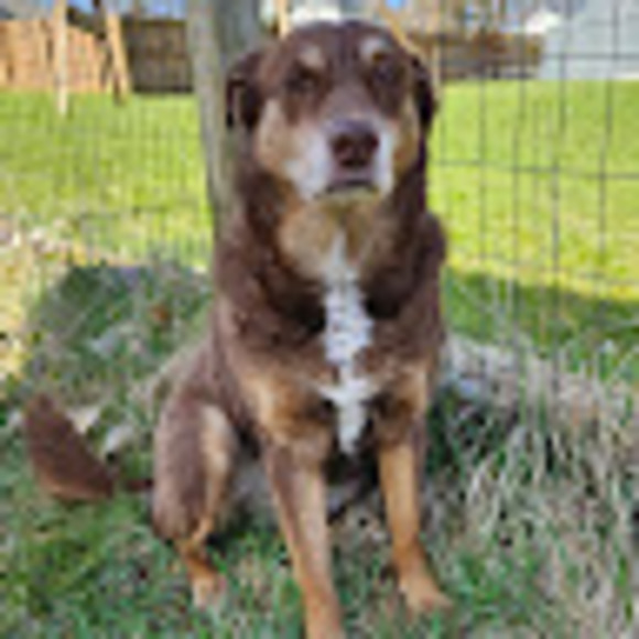 Meet your Posher, Brianna - Picture 1 of 1